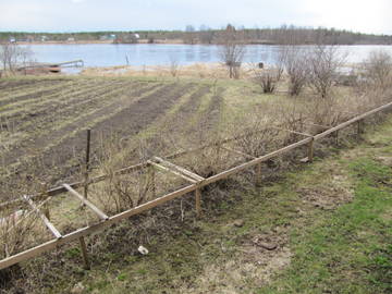 http://upforme.ru/uploads/000b/0b/c7/1224/t468853.jpg