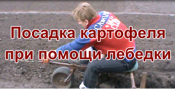 http://upforme.ru/uploads/000b/0b/c7/3162/t808886.png