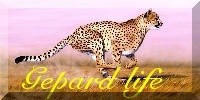     º 
