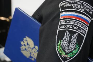 http://upforme.ru/uploads/000b/27/15/43/t474807.jpg