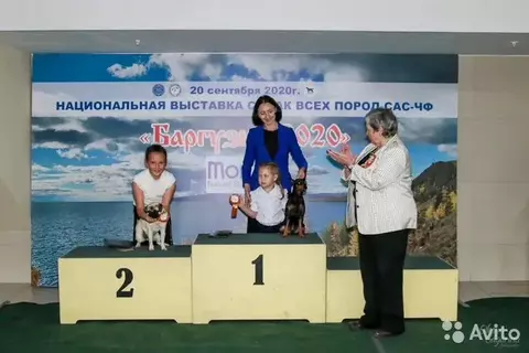 http://upforme.ru/uploads/000b/2b/2f/3515/t521668.webp