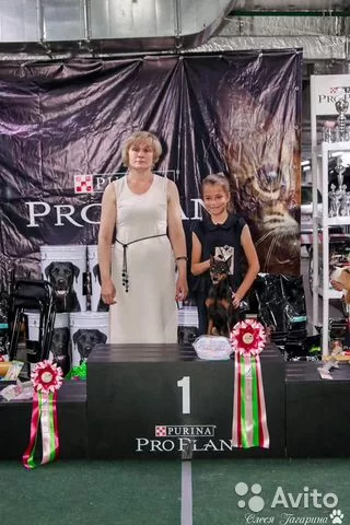 http://upforme.ru/uploads/000b/2b/2f/3515/t596042.webp