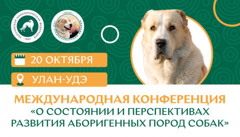 http://upforme.ru/uploads/000b/2b/2f/3515/t63282.jpg