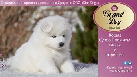 http://upforme.ru/uploads/000b/2b/2f/3515/t840693.jpg