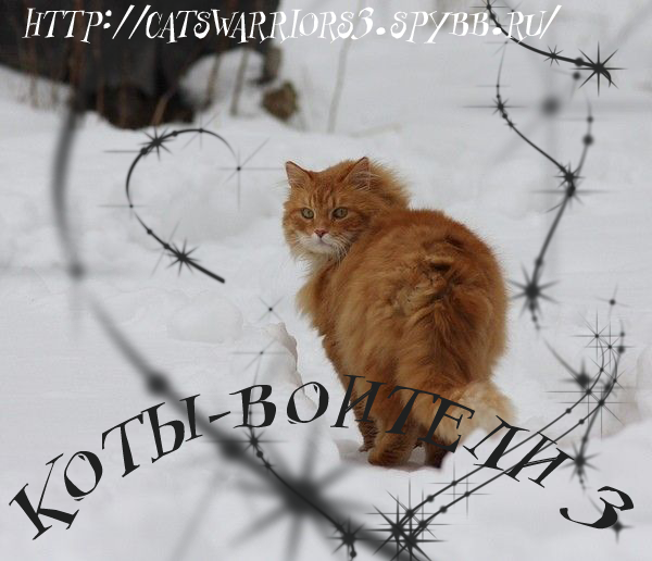 http://upforme.ru/uploads/000b/37/1e/1461-2-f.png