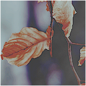 http://upforme.ru/uploads/000b/3d/2a/55-1.png