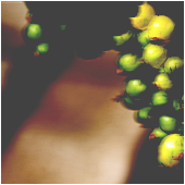 http://upforme.ru/uploads/000b/3d/2a/55-3.png