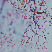 http://upforme.ru/uploads/000b/3d/2a/56-4.png