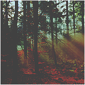 http://upforme.ru/uploads/000b/3d/2a/57-1.png