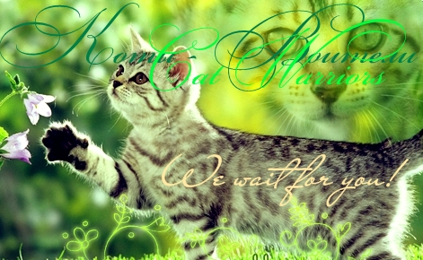 http://upforme.ru/uploads/000b/52/23/50-1-f.jpg