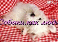 http://upforme.ru/uploads/000b/52/2e/244-1.gif