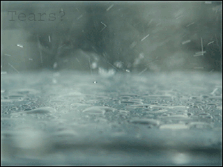 http://upforme.ru/uploads/000b/54/5b/9935-1.gif
