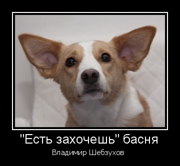 http://upforme.ru/uploads/000b/6b/e9/13/t58403.jpg