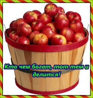 http://upforme.ru/uploads/000b/6b/e9/13/t971715.jpg