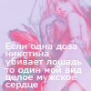 http://upforme.ru/uploads/000b/78/0d/134-1.png