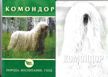 http://upforme.ru/uploads/000b/7f/58/29/t112636.jpg