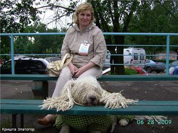 http://upforme.ru/uploads/000b/7f/58/29/t375024.jpg
