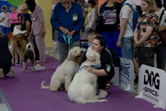 http://upforme.ru/uploads/000b/7f/58/29/t427344.jpg
