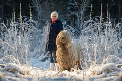 http://upforme.ru/uploads/000b/7f/58/29/t543308.jpg