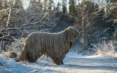 http://upforme.ru/uploads/000b/7f/58/29/t593206.jpg