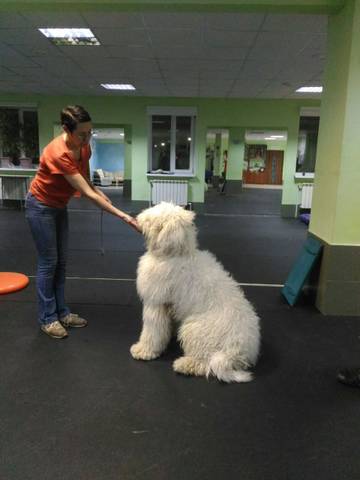 http://upforme.ru/uploads/000b/7f/58/29/t68497.jpg