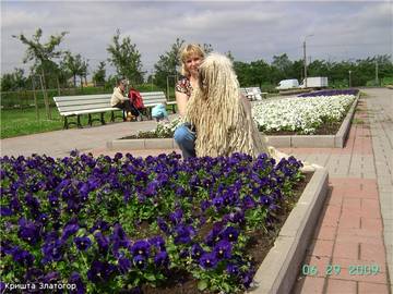 http://upforme.ru/uploads/000b/7f/58/29/t729774.jpg