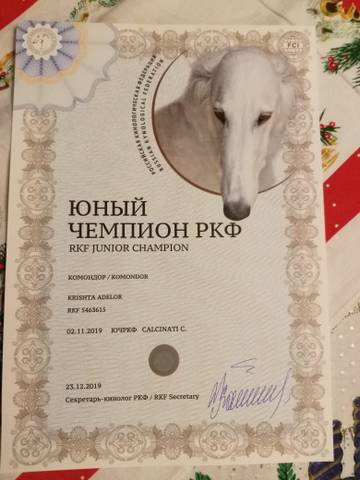 http://upforme.ru/uploads/000b/7f/58/29/t84761.jpg
