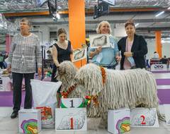 http://upforme.ru/uploads/000b/7f/58/29/t966466.jpg