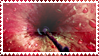 http://upforme.ru/uploads/000b/98/54/7352-2.png