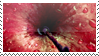 http://upforme.ru/uploads/000b/98/54/7352-5.png