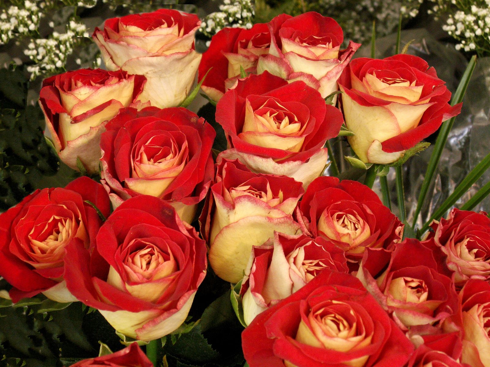 http://upforme.ru/uploads/000b/a3/f5/755-1-f.jpg