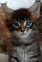http://upforme.ru/uploads/000b/ad/25/34860-1.gif