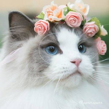 http://upforme.ru/uploads/000b/ad/25/7730/t15235.jpg