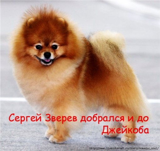 http://upforme.ru/uploads/000b/af/31/3171-1-f.jpg
