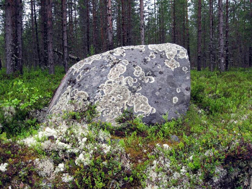 http://upforme.ru/uploads/000b/bd/ae/114-1-f.jpg