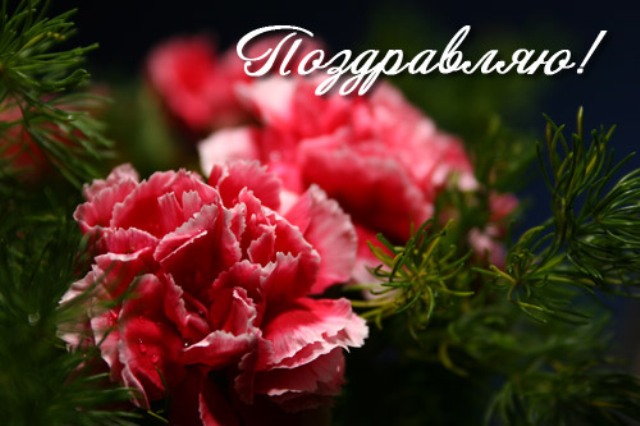 http://upforme.ru/uploads/000b/ce/ff/1930-1-f.jpg