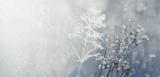 http://upforme.ru/uploads/000b/e6/b0/5/t98863.gif