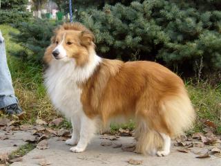 http://upforme.ru/uploads/000b/e7/43/1097-4.jpg