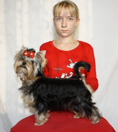 http://upforme.ru/uploads/000b/e7/43/412-1-f.jpg
