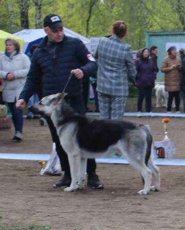 http://upforme.ru/uploads/000b/fb/4c/3/t625683.jpg