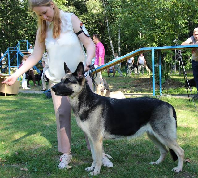 http://upforme.ru/uploads/000b/fb/4c/6/105981.jpg