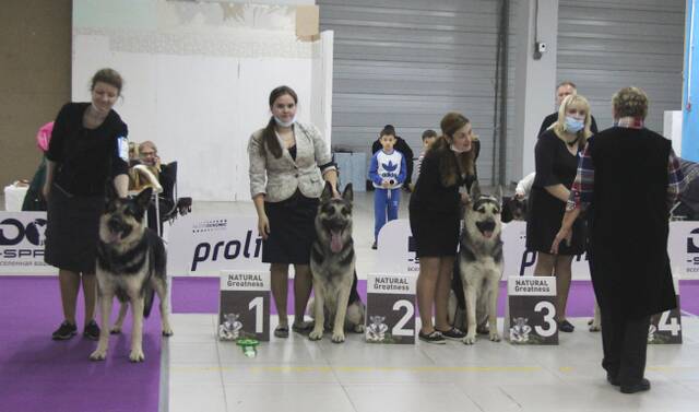 http://upforme.ru/uploads/000b/fb/4c/6/113306.jpg