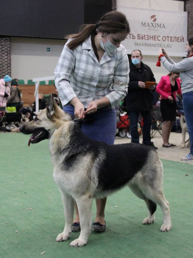 http://upforme.ru/uploads/000b/fb/4c/6/115230.jpg