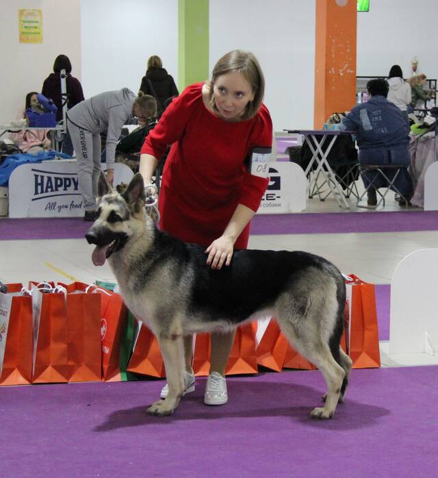 http://upforme.ru/uploads/000b/fb/4c/6/131657.jpg