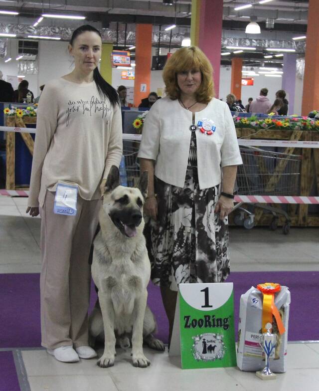 http://upforme.ru/uploads/000b/fb/4c/6/132369.jpg