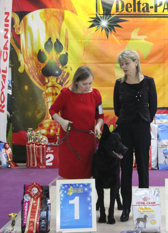 http://upforme.ru/uploads/000b/fb/4c/6/136170.jpg