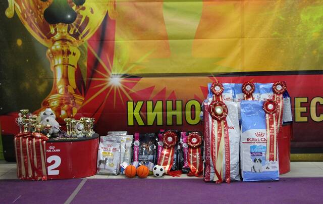 http://upforme.ru/uploads/000b/fb/4c/6/137767.jpg