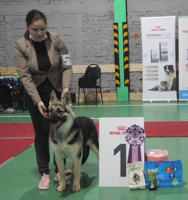 http://upforme.ru/uploads/000b/fb/4c/6/146987.jpg