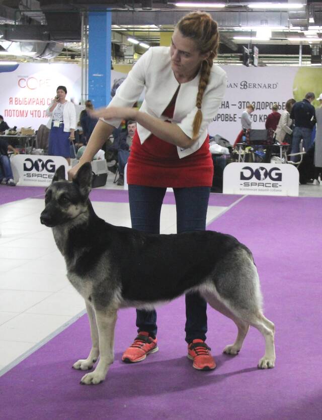 http://upforme.ru/uploads/000b/fb/4c/6/150026.jpg