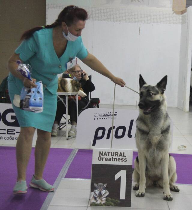 http://upforme.ru/uploads/000b/fb/4c/6/158629.jpg